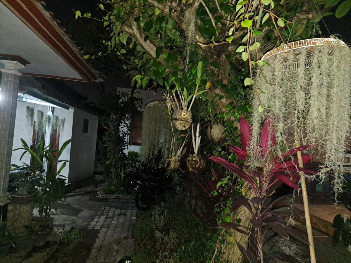 Ascarya Guest House سانور المظهر الخارجي الصورة