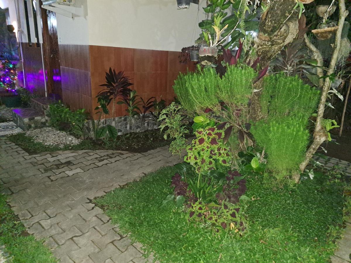 Ascarya Guest House سانور المظهر الخارجي الصورة
