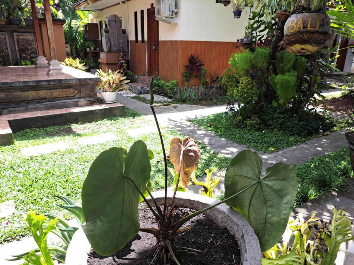 Ascarya Guest House سانور المظهر الخارجي الصورة