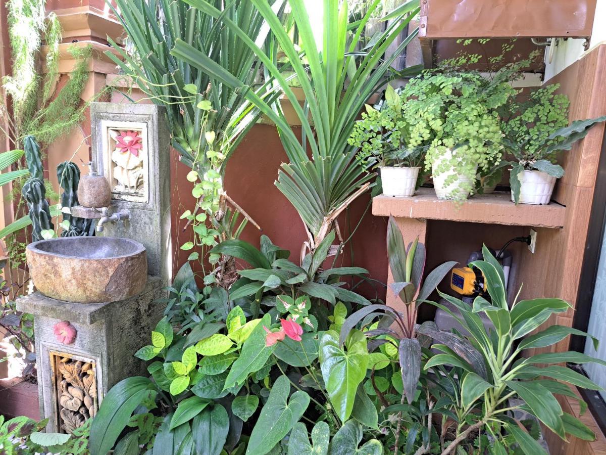 Ascarya Guest House سانور المظهر الخارجي الصورة