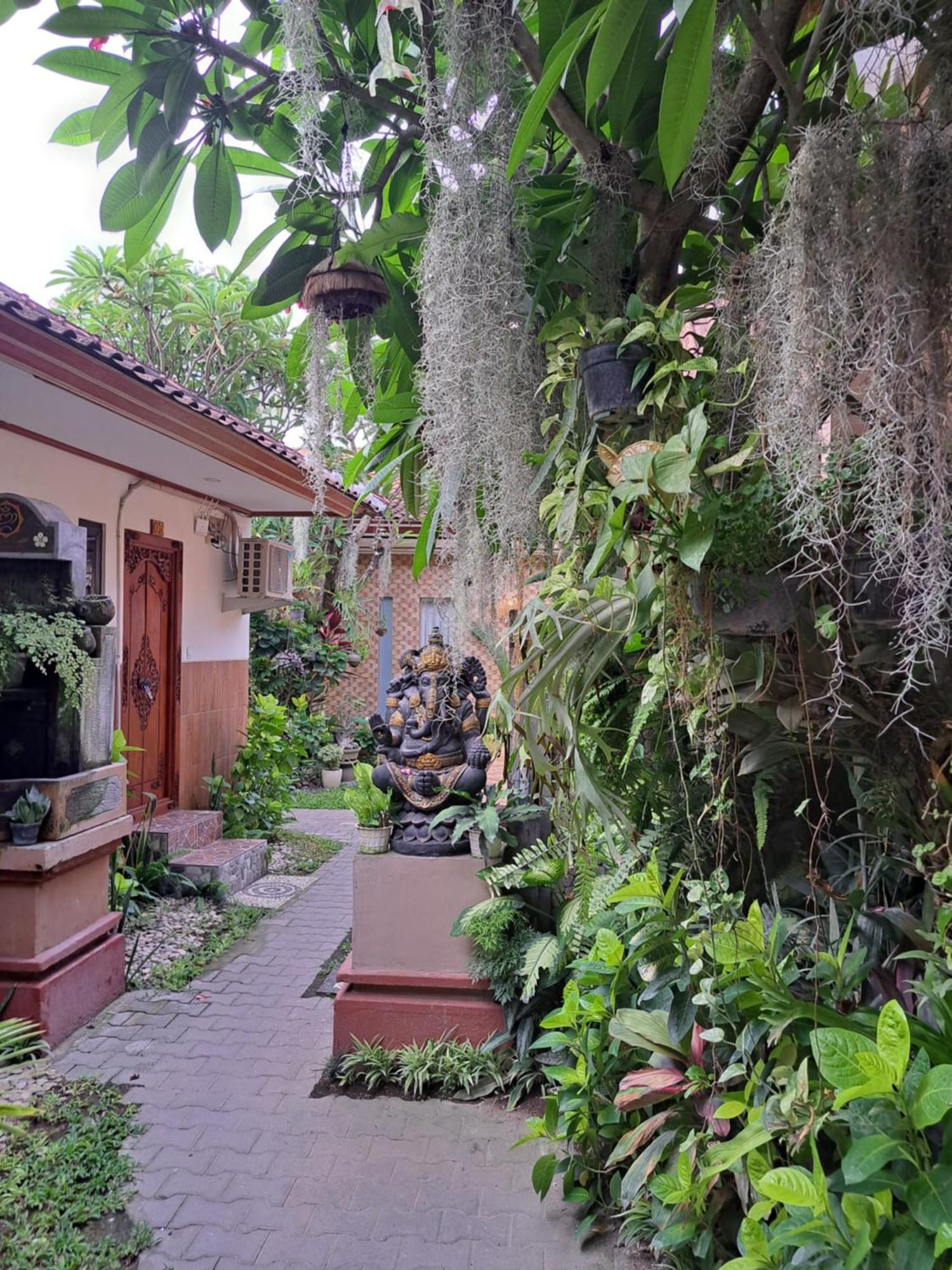 Ascarya Guest House سانور المظهر الخارجي الصورة